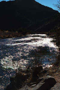 o20.jpg (50177 bytes)